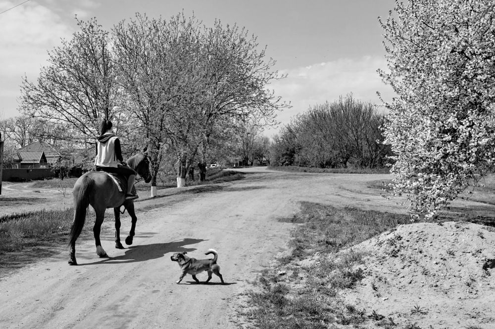 Photograph by Михаил Казаченко