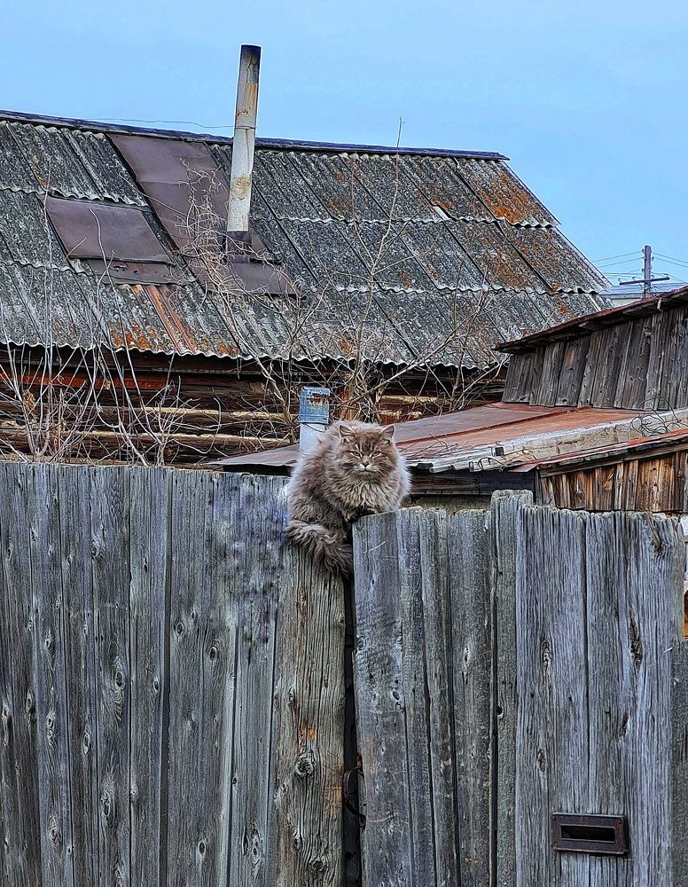 Photograph by Ольга Веселова