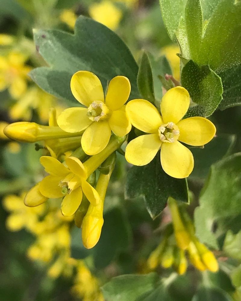 Photograph by Анар Амирова