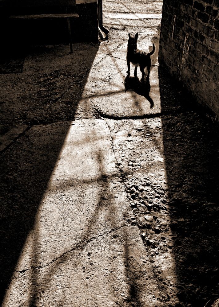 Photograph by Михаил Казаченко