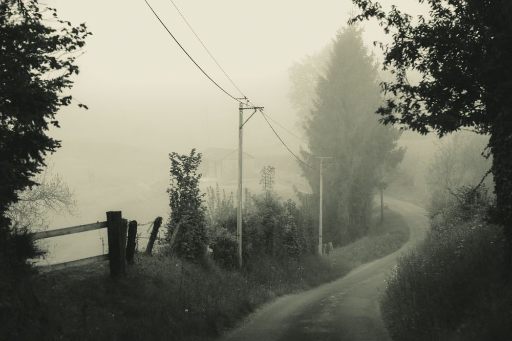 Photograph by Запылаева Анна