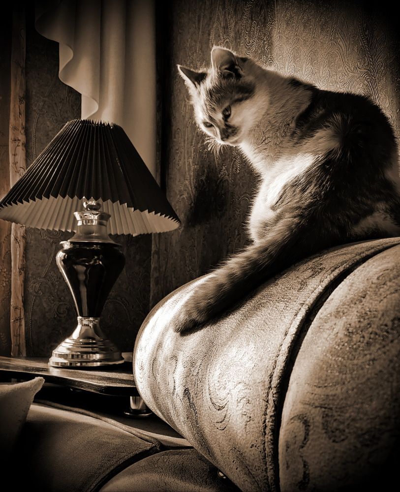 Photograph by Михаил Казаченко