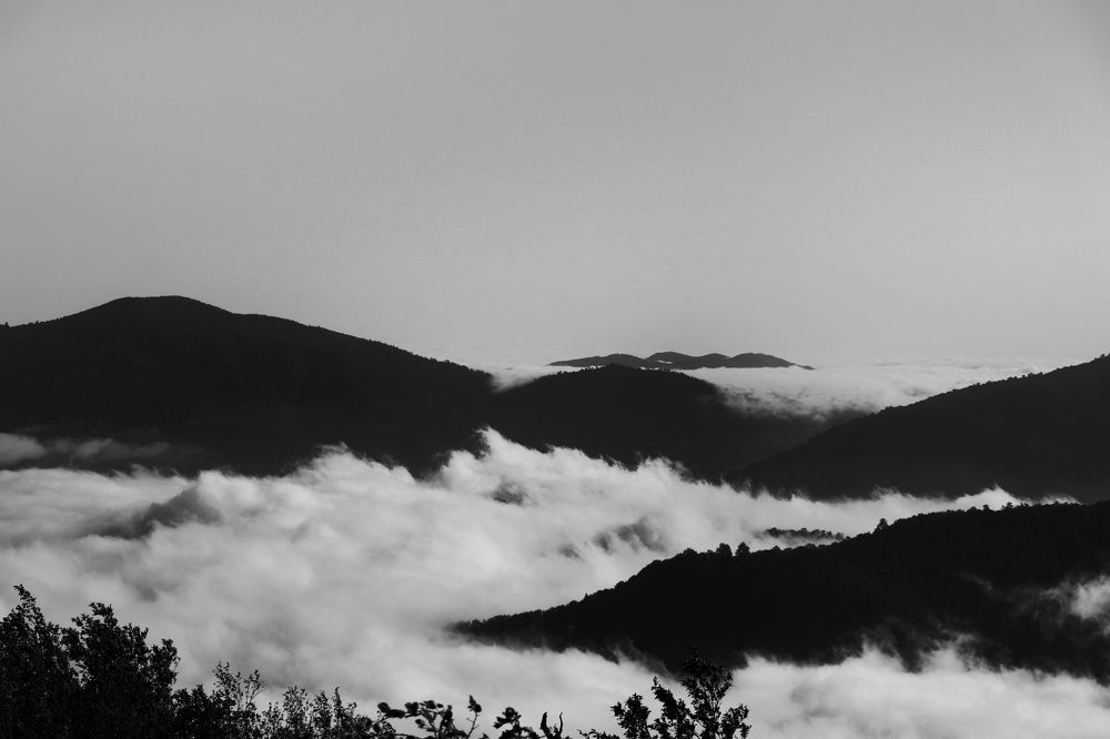 Photograph by Sahar Ghadir