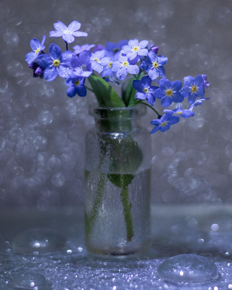 Photograph by Шульга Ольга