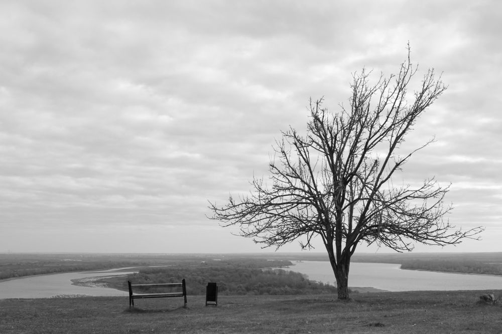 Photograph by Димитрий Осинцев