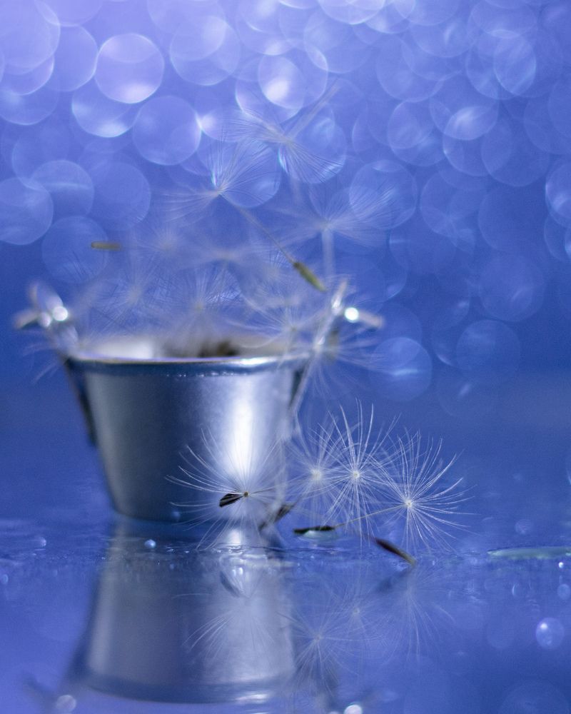 Photograph by Ольга Шульга