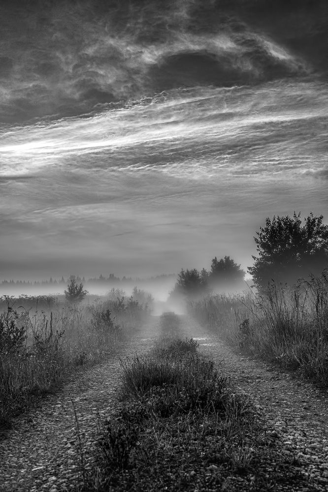 Photograph by Gureva Elena