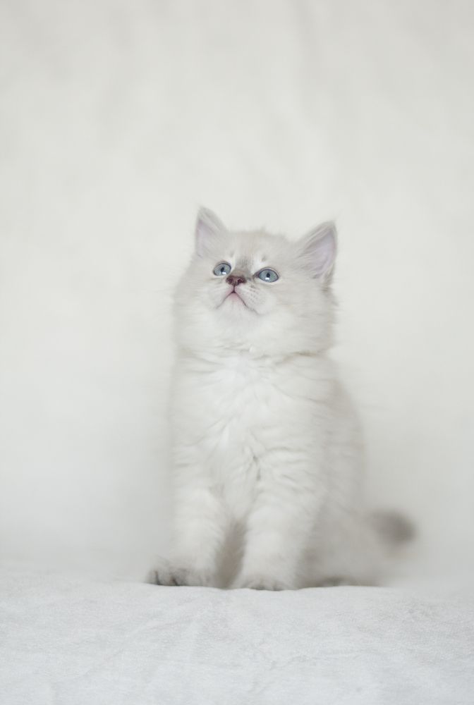 Photograph by Борис Саватюгин