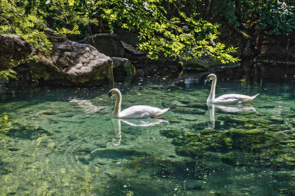 Photograph by Александр Стрельченко