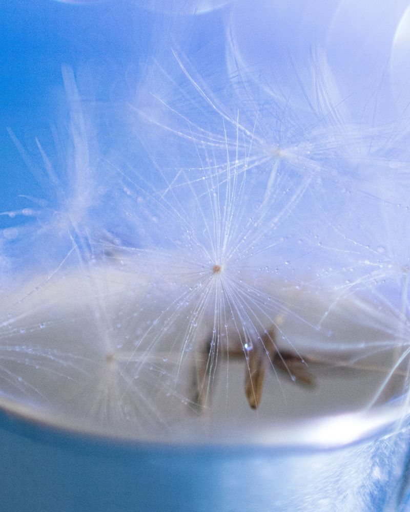 Photograph by Ольга Шульга