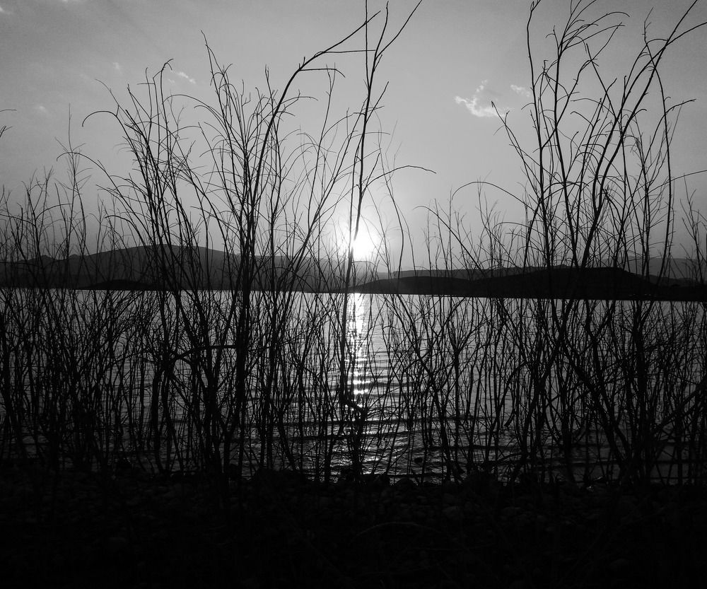 Photograph by Babak Akvan