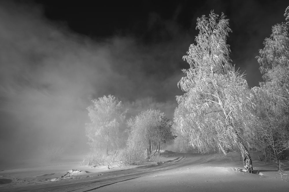 Photograph by Александр Рудный