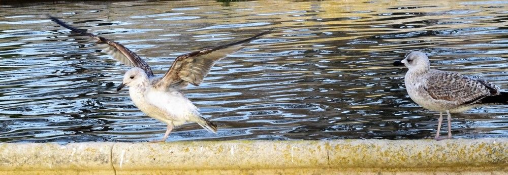 Photograph by Marina Eremin