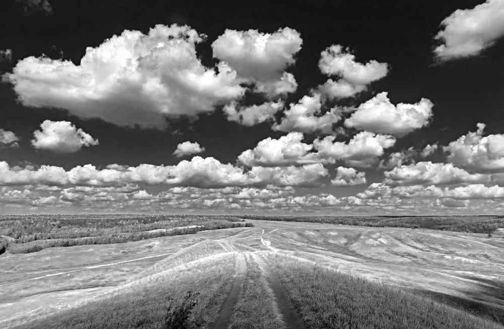 Photograph by Владимир Салапонов