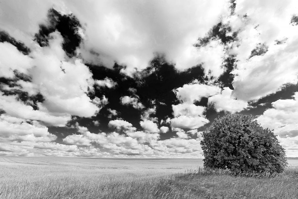 Photograph by Владимир Салапонов