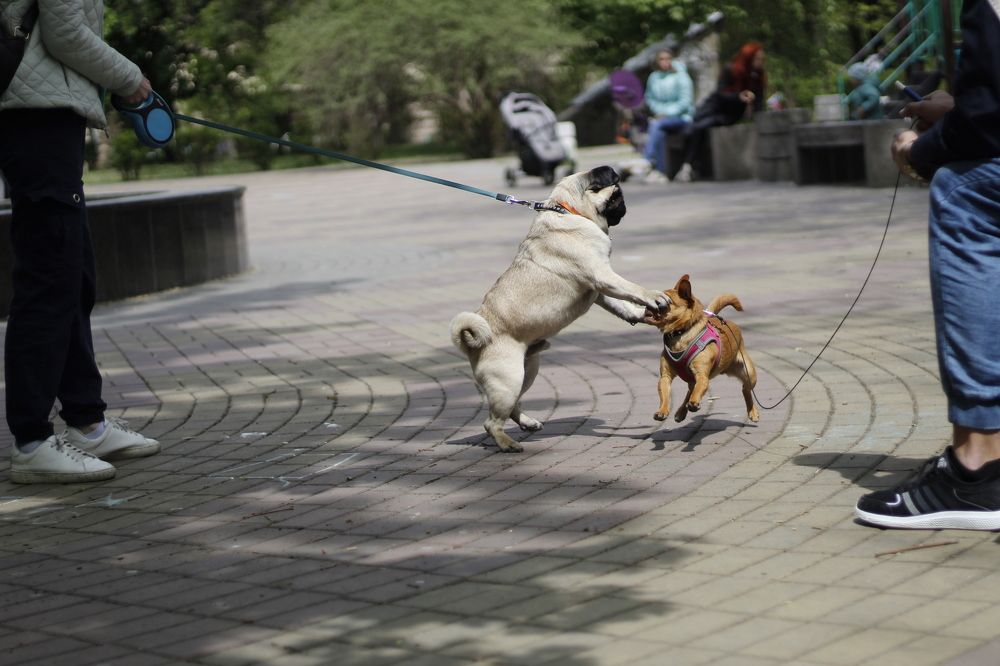 Photograph by Елена Кузнецова