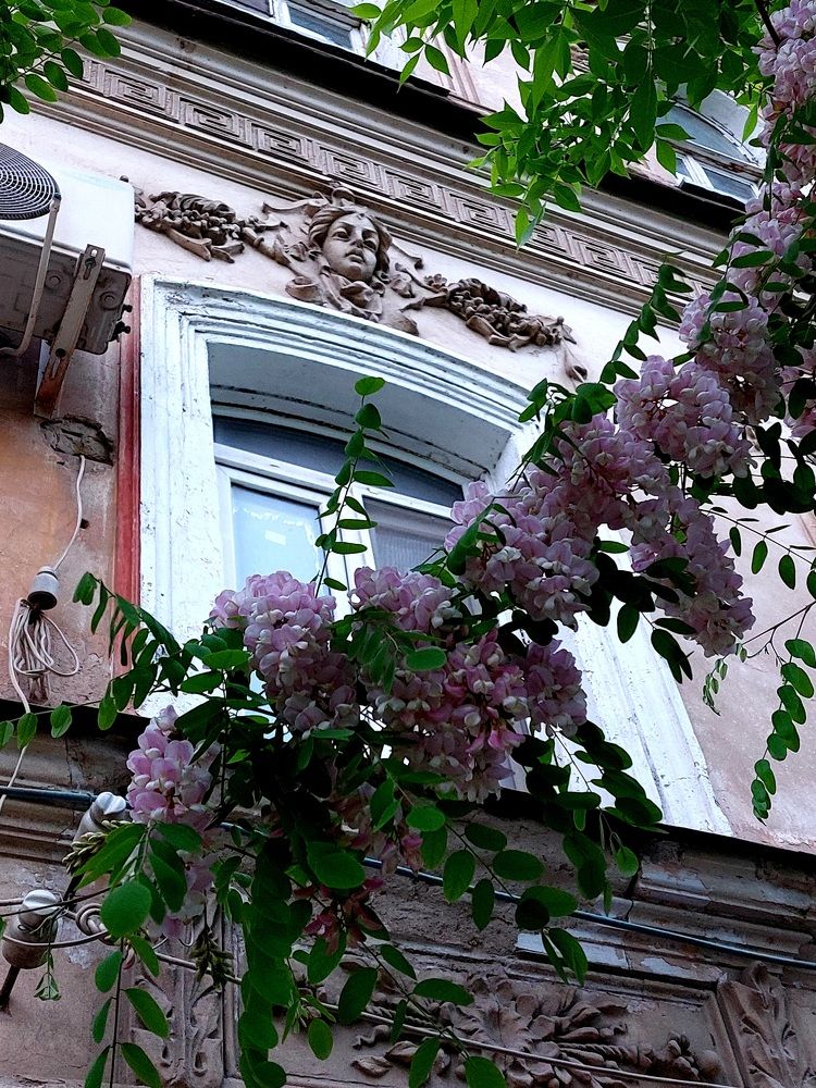 Photograph by Нина Паршина