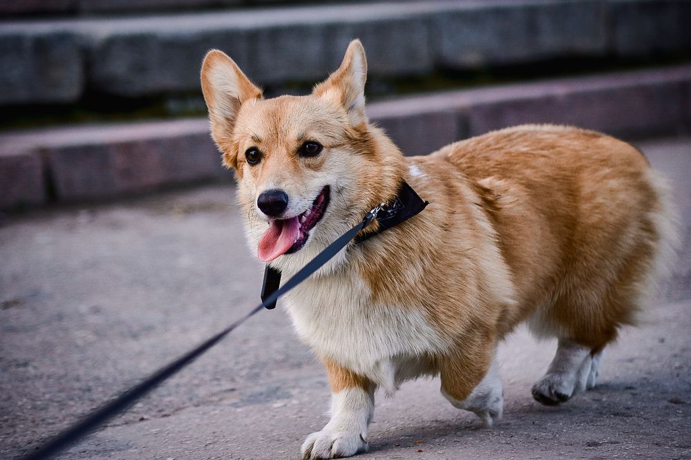 Photograph by Ксения Чапуринская