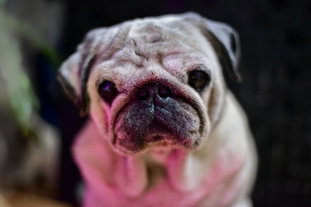 Photograph by Ксения Чапуринская