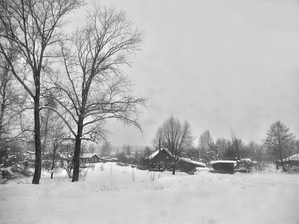 Фотография автора Клавдия Васильева