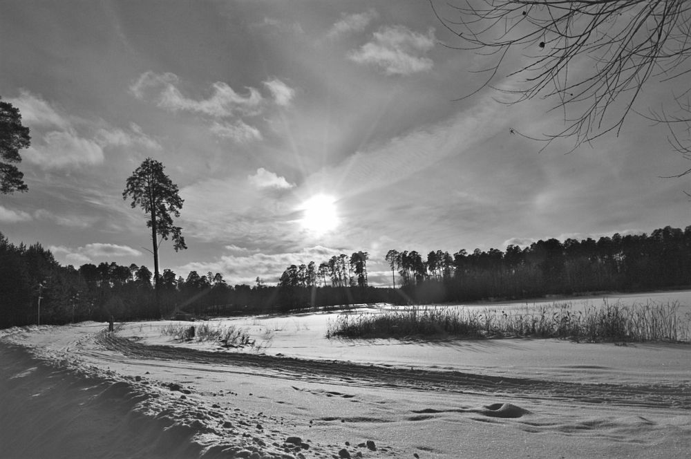 Фотография автора Клавдия Васильева