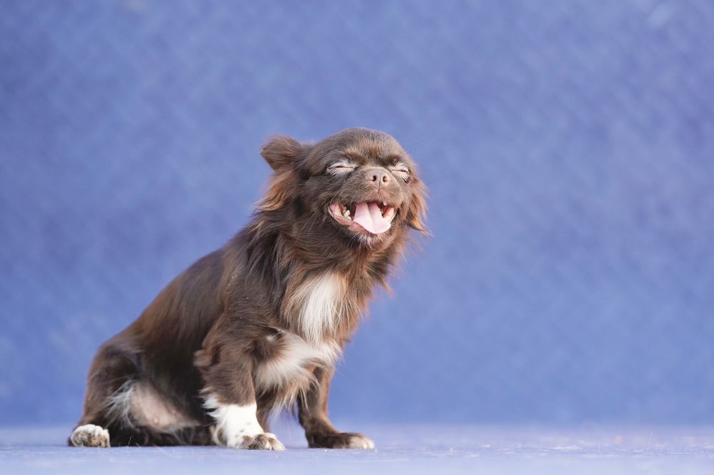 Photograph by Марина Аникина