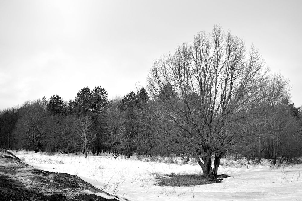 Photograph by Мария Опритова