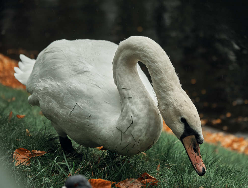 Photograph by Ольга Филатова