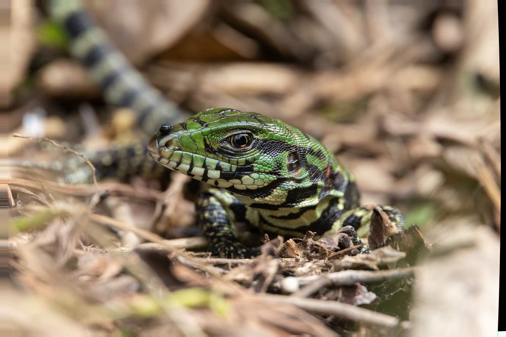 Photograph by Александр М.