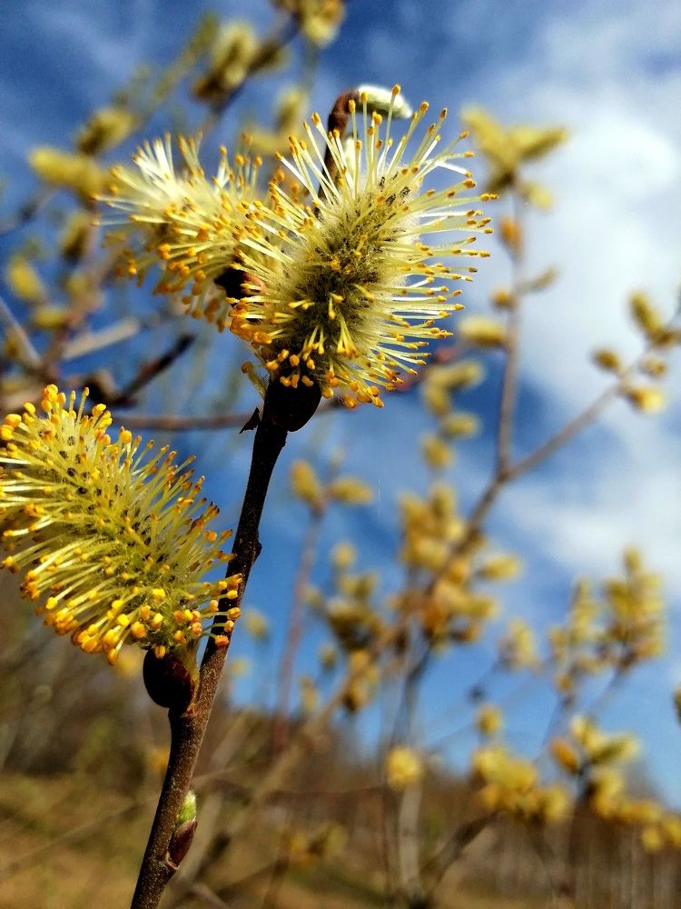 Photograph by Анна