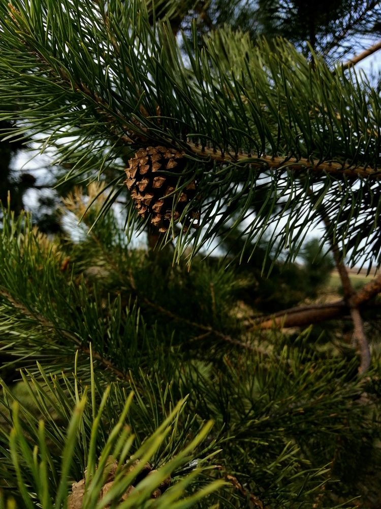 Photograph by Анна