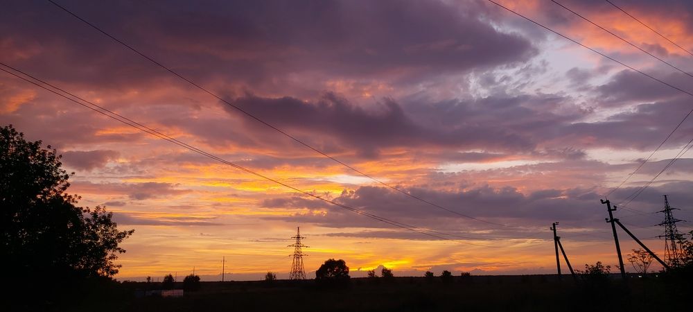 Фотография автора Софья Алексеева