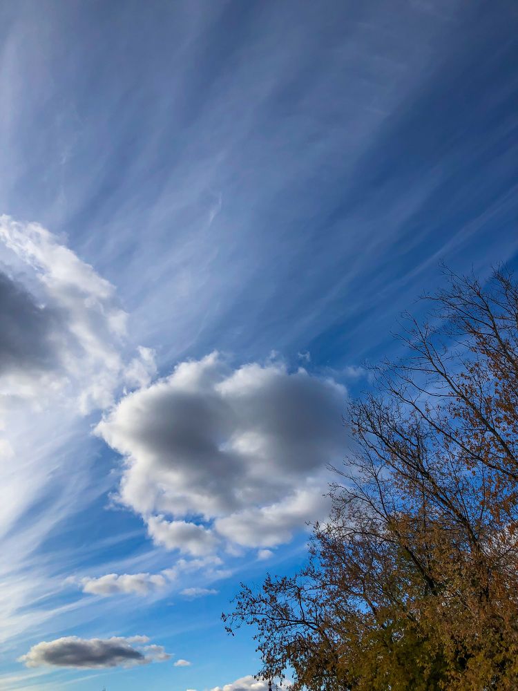 Photograph by Юлия Ерофеева