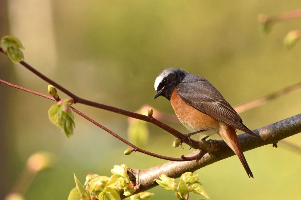 Photograph by Наталья Фомина