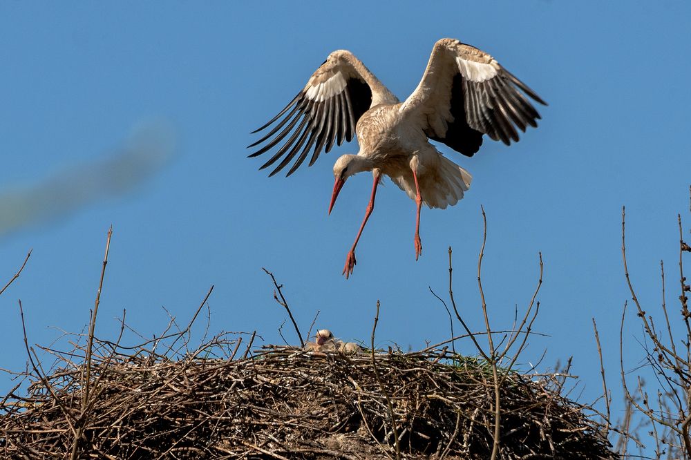 Photograph by Наталья Фомина