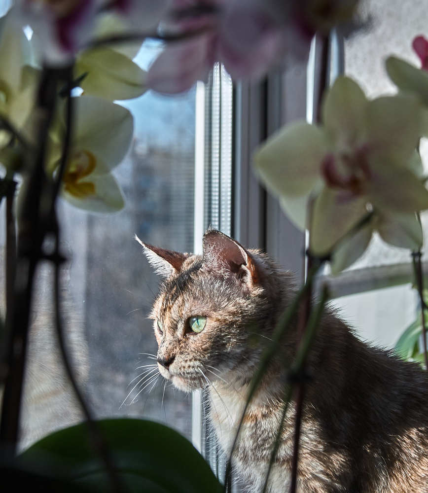 Photograph by Ольга Филатова