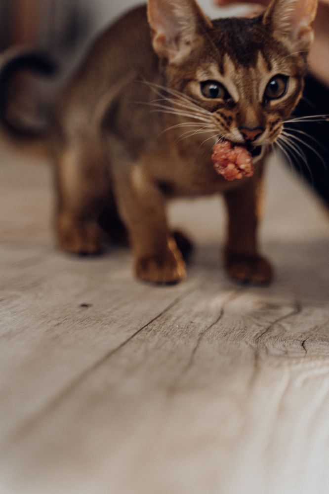 Photograph by nady larionova