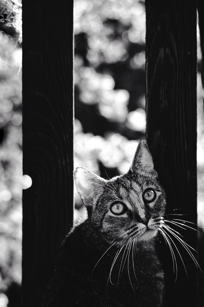 Photograph by Yana Panasiuk