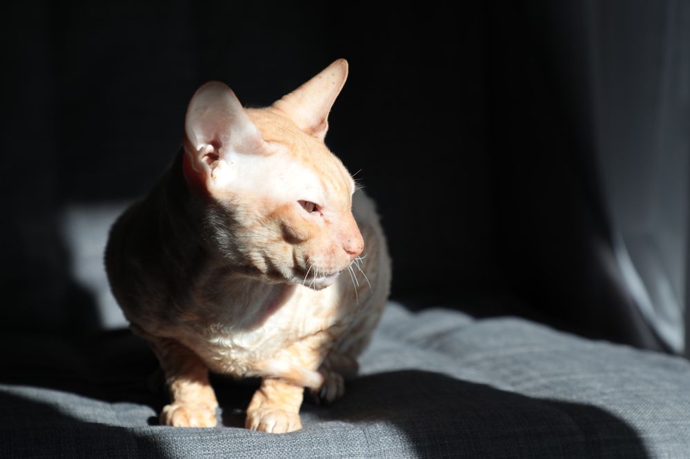 Photograph by Дарья Юсарева