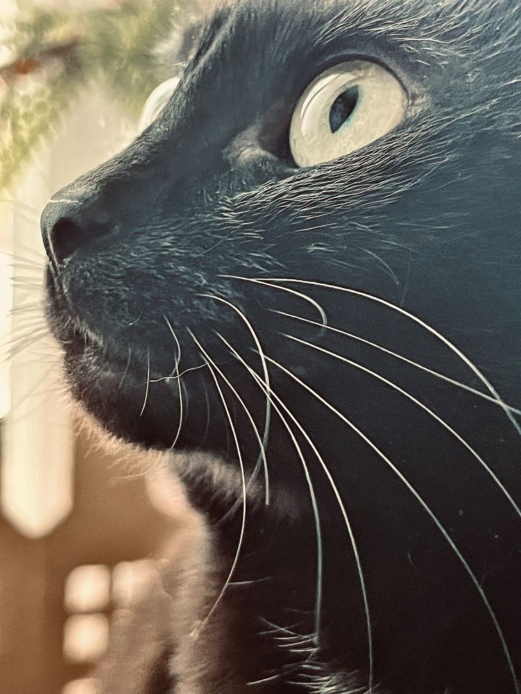 Photograph by Екатерина Валиуллина