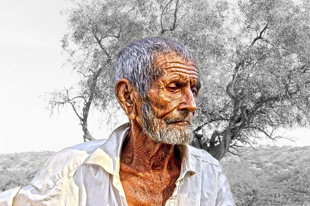 Фотография автора Fawad Hashmi