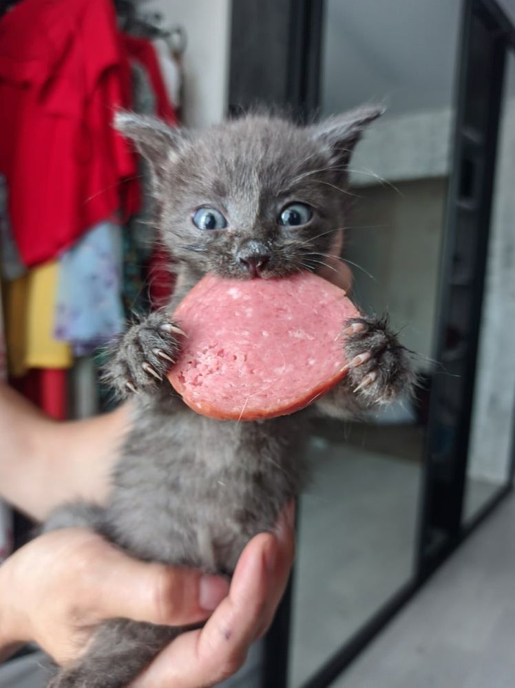 Photograph by Антон Ныскажу