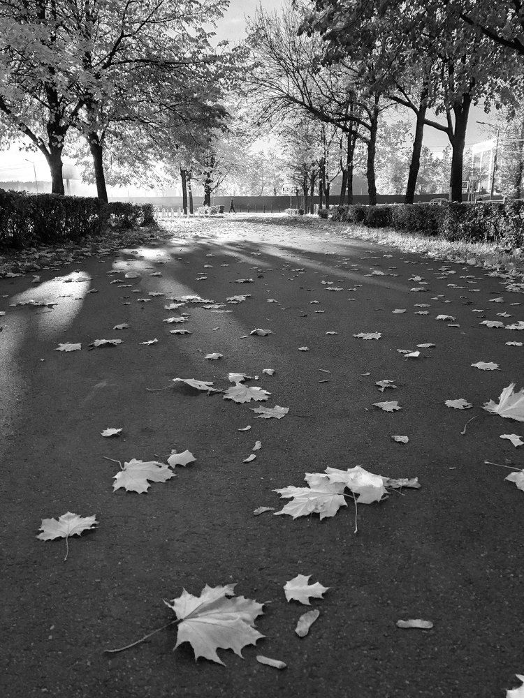 Photograph by Мария Королькова