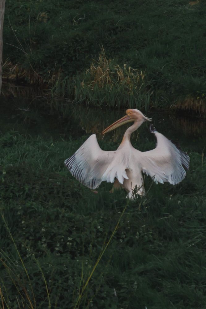 Photograph by Светлана Гонская