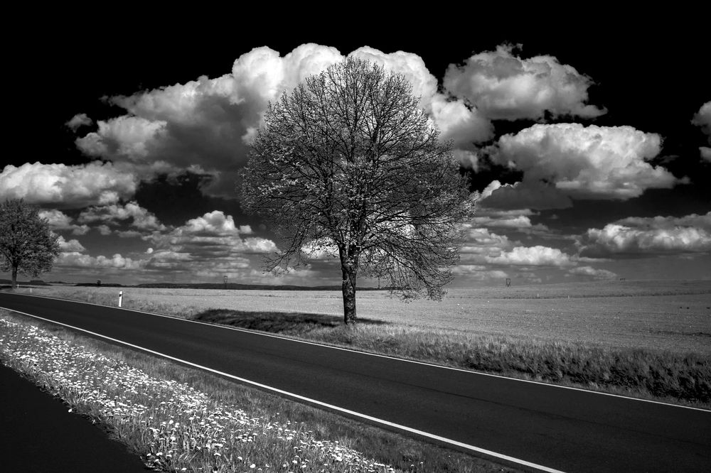 Фотография автора Дмитрий Горбылёв