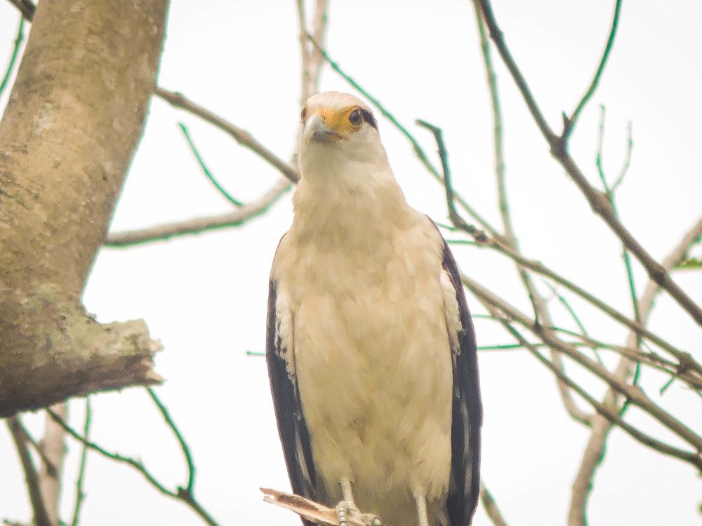 Photograph by Rodrigues Helena