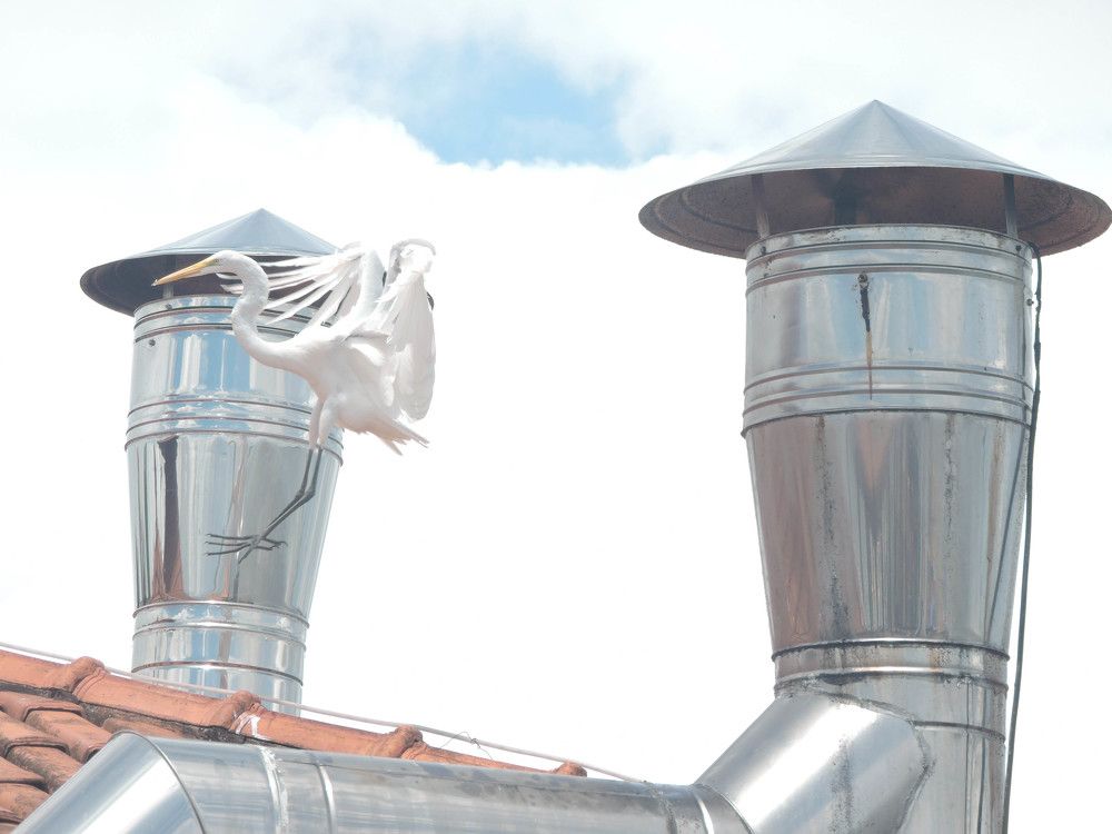 Photograph by Rodrigues Helena