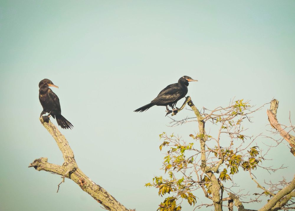 Photograph by Rodrigues Helena