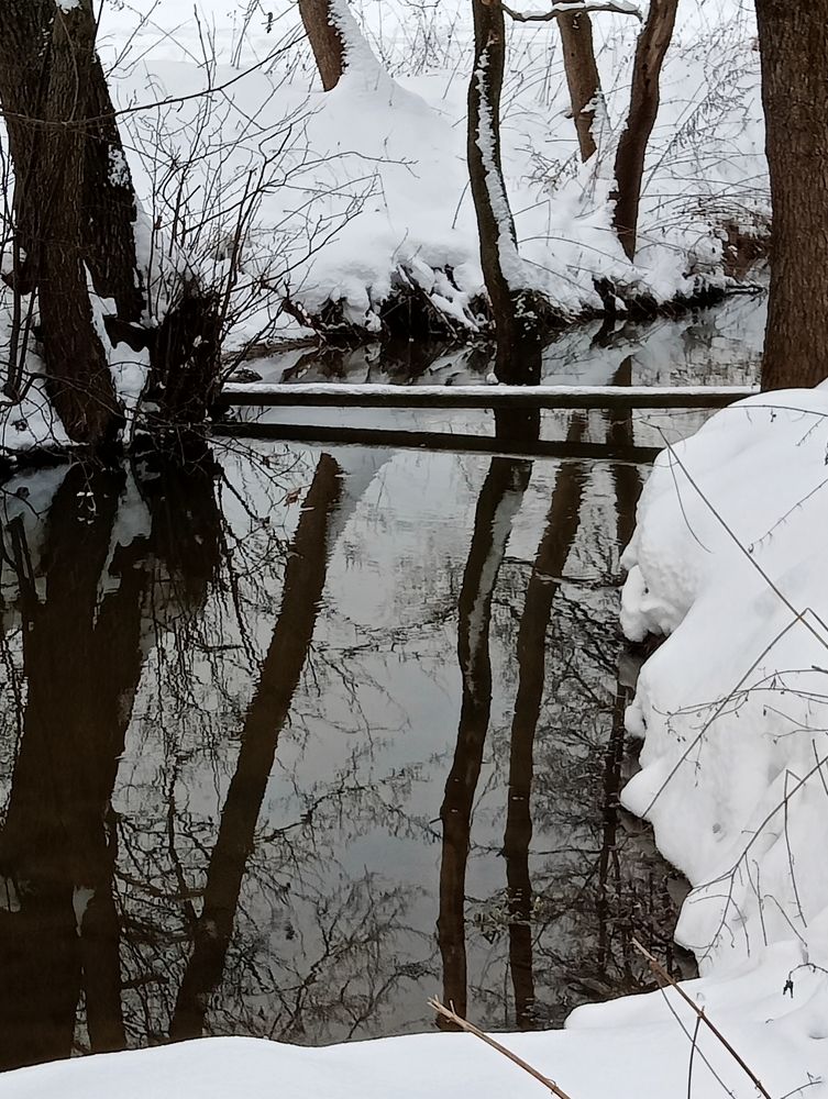 Photograph by Александр Alexander Zheleztsov