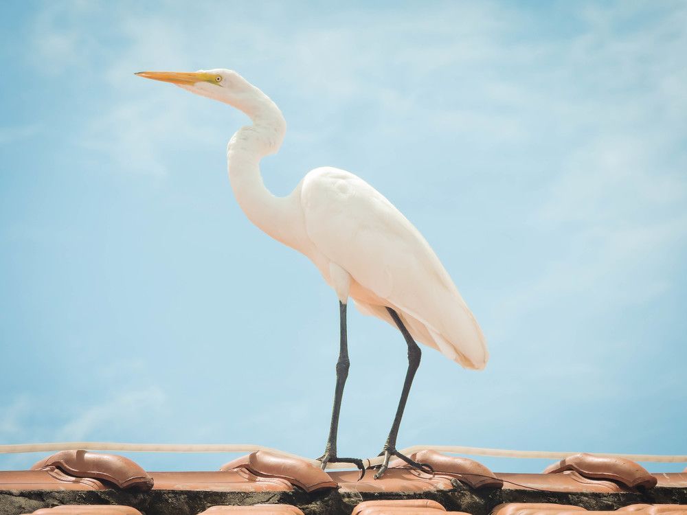 Photograph by Patrícia Helena